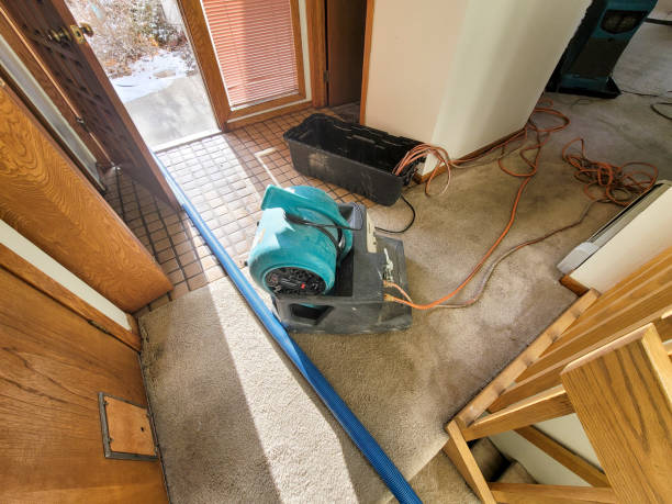 Best 24/7 water damage repair  in USA